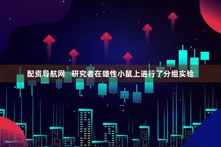 配资导航网   研究者在雄性小鼠上进行了分组实验
