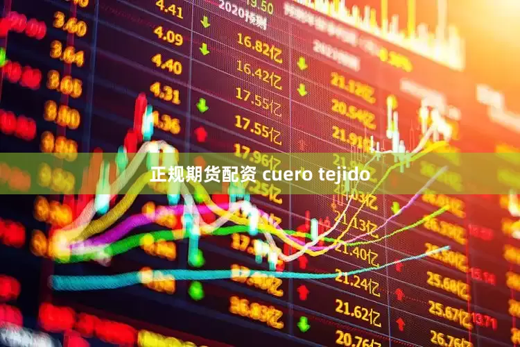正规期货配资 cuero tejido