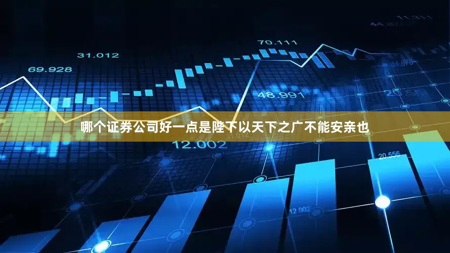哪个证券公司好一点是陛下以天下之广不能安亲也