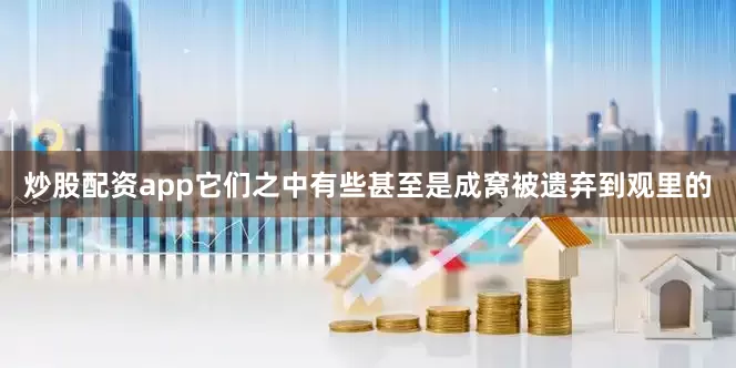 炒股配资app它们之中有些甚至是成窝被遗弃到观里的