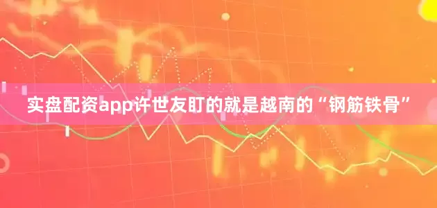 实盘配资app许世友盯的就是越南的“钢筋铁骨”
