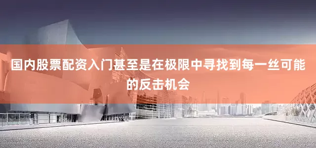 国内股票配资入门甚至是在极限中寻找到每一丝可能的反击机会