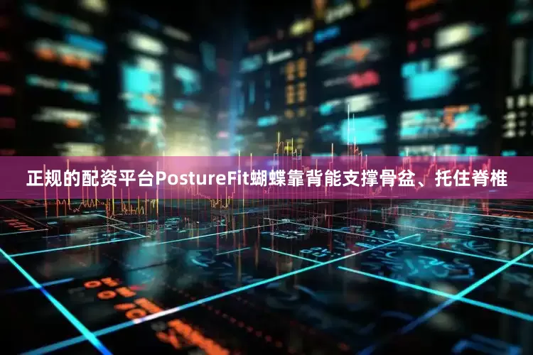 正规的配资平台PostureFit蝴蝶靠背能支撑骨盆、托住脊椎