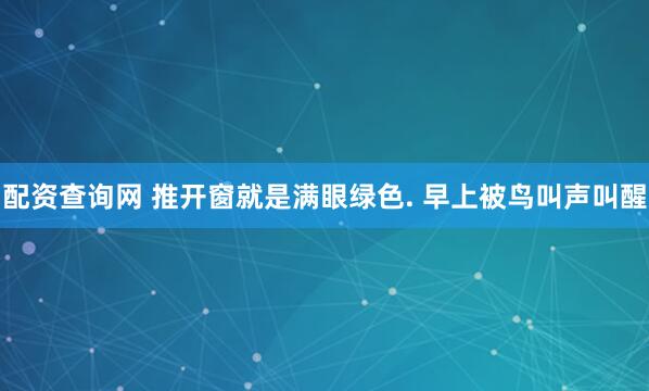 配资查询网 推开窗就是满眼绿色. 早上被鸟叫声叫醒
