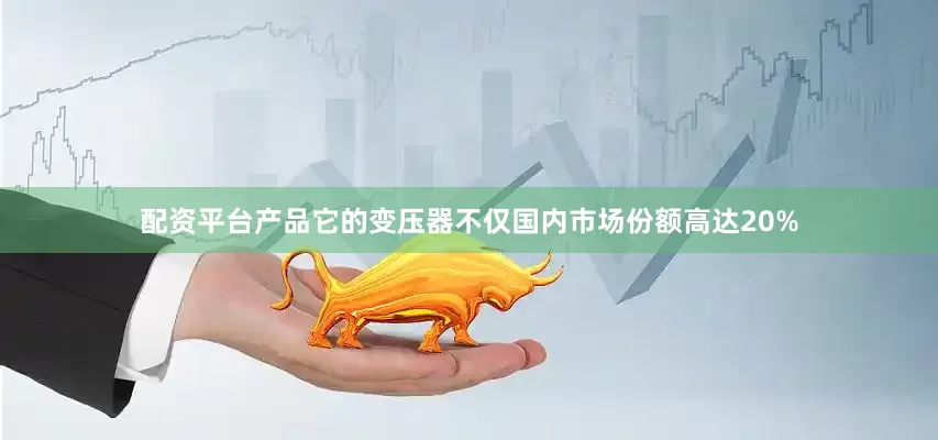 配资平台产品它的变压器不仅国内市场份额高达20%